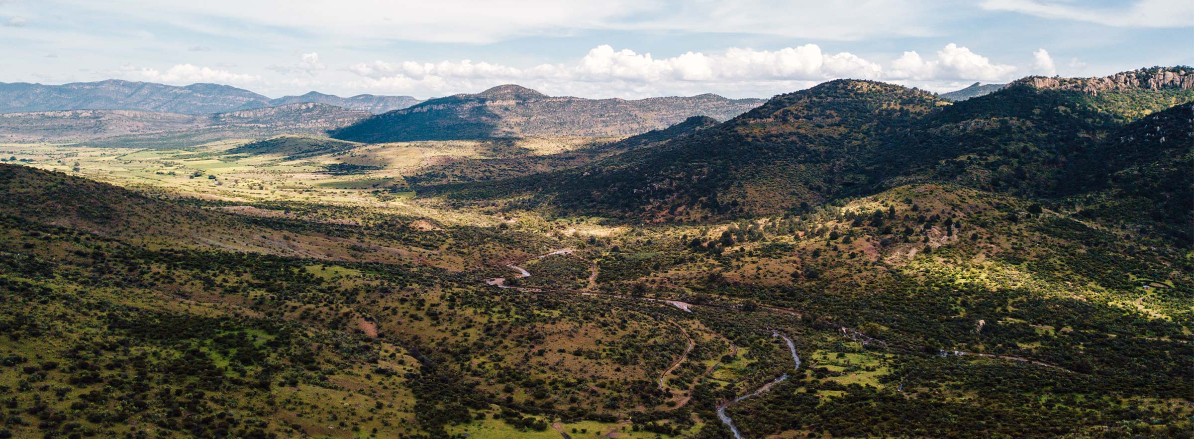 Mexican landscape